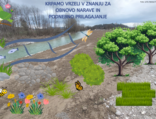Krpamo vrzeli v znanju za obnovo narave in podnebno prilagajanje [VABILO NA SEMINAR]