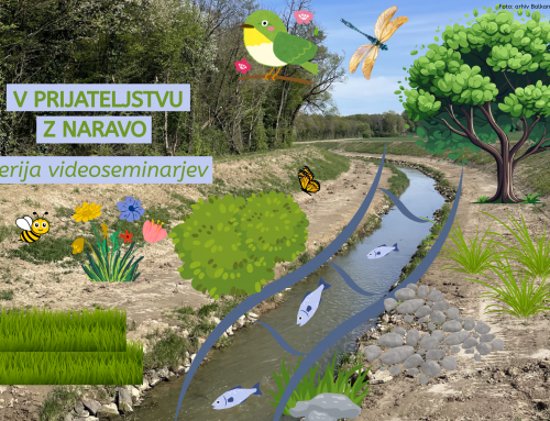 V prijateljstvu z naravo [SERIJA SPLETNIH VIDEOSEMINARJEV]