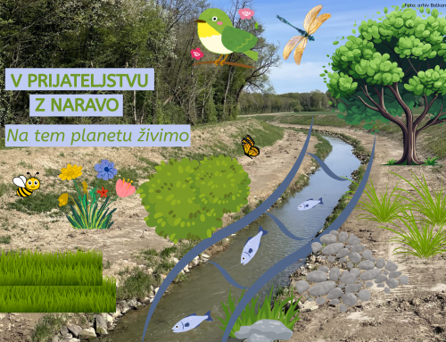 V prijateljstvu z naravo – Na tem planetu živimo