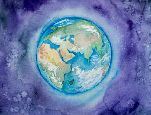 V prijateljstvu z naravo – Na tem planetu živimo