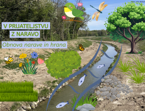 V prijateljstvu z naravo – Obnova narave in hrana