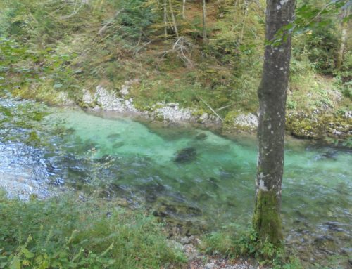 Sodelovanje javnosti pri upravljanju: Triglavski narodni park