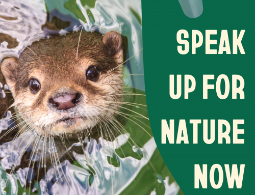 Zdravje in narava nista na prodaj! Daj glas naravi in podpiši PETICIJO!