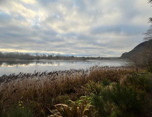 Za premislek o dolgoročnih posledicah za okolje je odločilna strateška presoja programov