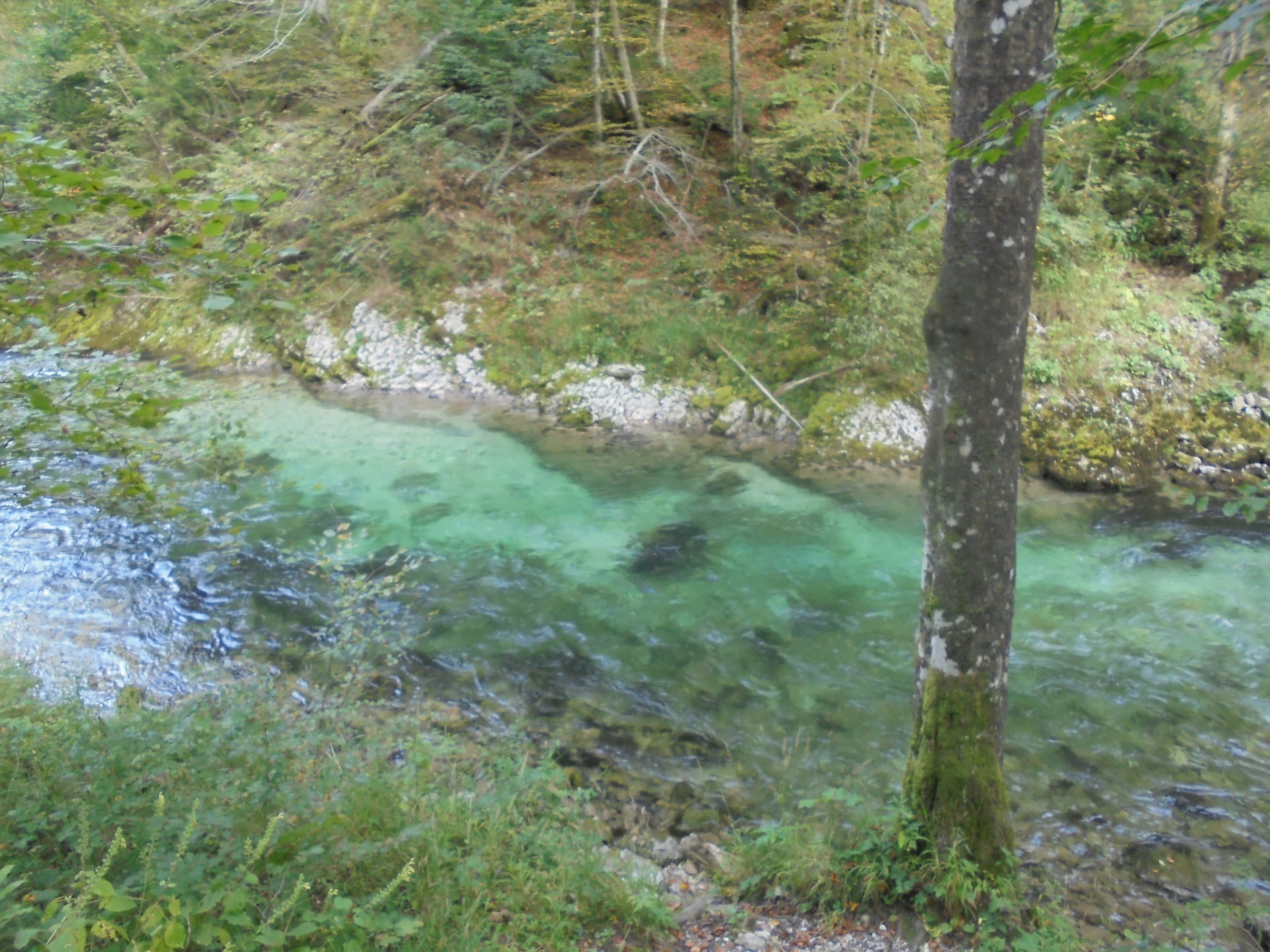 Sodelovanje javnosti pri upravljanju: Triglavski narodni park
