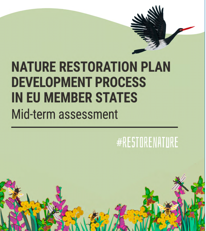 Vmesno poročilo o pripravi nacionalnih načrtov obnove narave